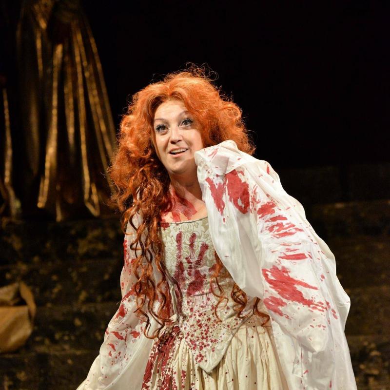 Programul Operei romane din Cluj - luna ianuarie 2010