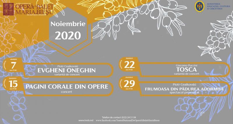 Program noiembrie 2020