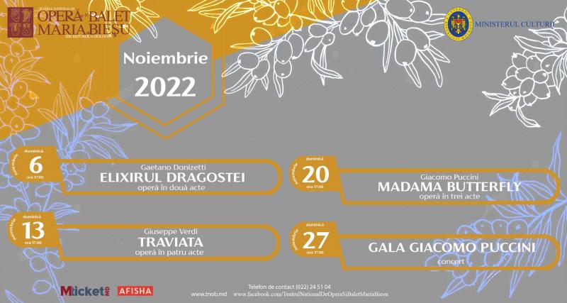 Program noiembrie 2022