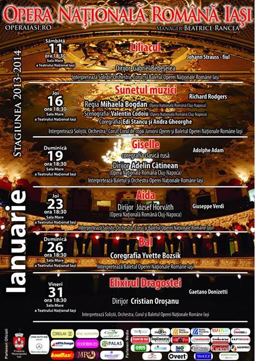 Program ianuarie 2014